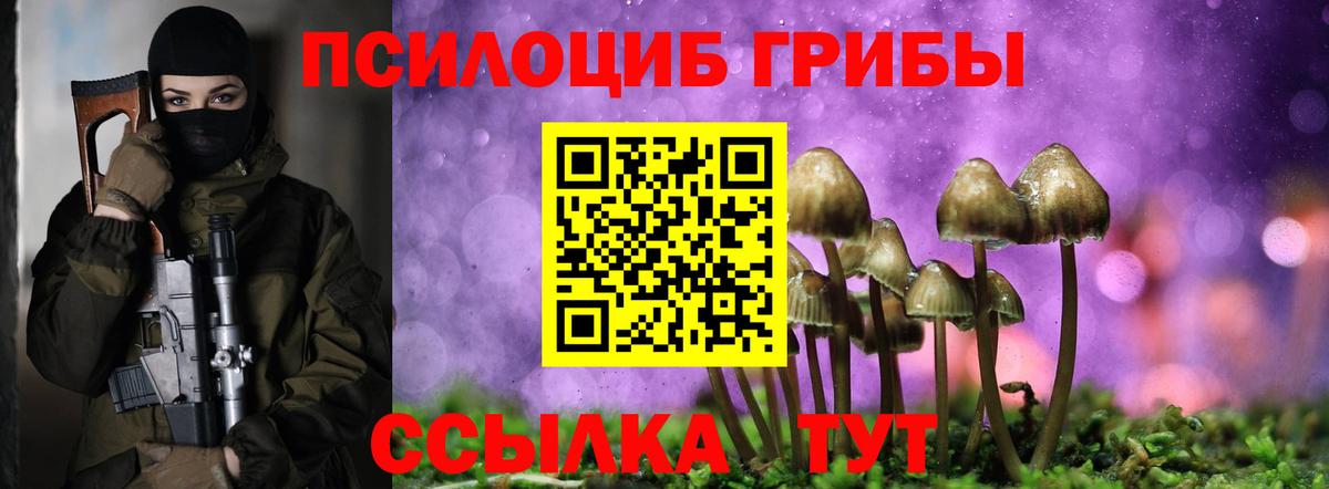 Галлюциногенные грибы Psilocybe  Галлюциногенные грибы Cubensis  Озёрск  Вход с VPN 